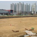 정촌 파크골프장 이미지