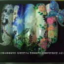 공주손톱 이미지