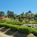 이리산소 이미지