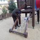 흥국유치원