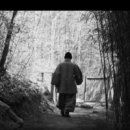 푸리바바 이미지