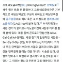 바오팜