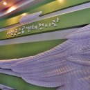 조류생태전시관 이미지