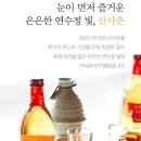 뒤끝 | ​🍶 입안에 봄이 피어나는 맛 배상면주가 산사춘 솔직후기 🌸 뒤끝 없는 깔끔한 과실주 추천