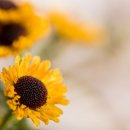 다정동 복합커뮤니티 센터 이미지