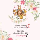 해맑음홈케어 | 피부과 시술만큼 중요한 홈케어! 올리브영 추천템 총정리