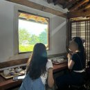 읍내6구 | 힐링뿐인 하동 1박2일 여행 :: 동정호, 매암제다원, 파이나무, 밤톨 등