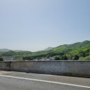 호원2농장 | 당일치기 춘천여행코스 (호원가든,제이드가든,리버레인카페,해피초원목장)