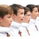 (공연) 파리나무십자가 소년합창단 특별초청공연 이미지