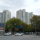 야탑동 양현로 이미지