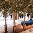 바이크아레나 이미지