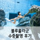 해마수중 | 블루홀라군 수중촬영 후기와 신청방법
