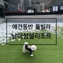 남이섬설리조트4