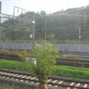 오봉산경로당 | 090504오봉산-선암산-축전산-능걸산종주산행