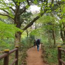 천지동주민센터 | 제주 맛집 천짓골식당 맛있군