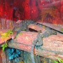 준성농장 이미지