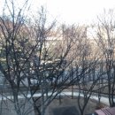 자미매운탕 이미지