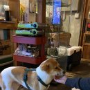 서정상회 이미지