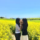 뽀뽀애견농장 이미지