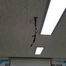 광명2동 행정복지센터 이미지