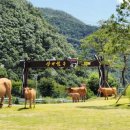 국빈식육식당 이미지
