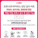 마루비에듀