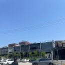 보통나루장어