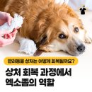 영주동물병원 이미지