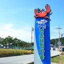 울진 구산어촌체험마을 이미지