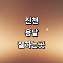 진천군 근처 용달이사 잘하는곳 추천 화물용달 전문업체 소형 렌트 퀵서비스 가격 견적 라보용달 침대 후기