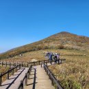 인제 티스토리