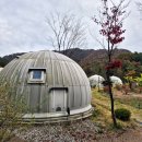 (주)이글루 | 양평 에코이글루 A1숲세권 가성비 좋은 글램핑 내돈내산 후기