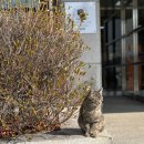 한국교통대학교 증평캠퍼스 이미지