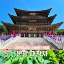 대광정비 | 도심에서 가까운 경기도 사찰 절 분당 미금 대광사 주차 카페