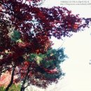 노인놀이지도사 이미지