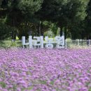 양주농원