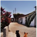 장창주농장 이미지