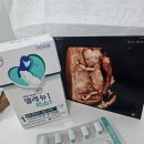 바이엘코리아㈜ 이미지