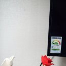 나로도바다 펜션 이미지