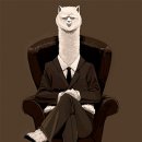 워드롭