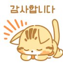 마켓해니