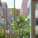 CU 논현강남점 이미지