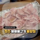 안용암 | 청주 봉용불고기 용암점 내돈내산 솔직후기 (+백로식당)