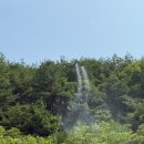 나무드론 - 중구 종가로 313 | 나무드론