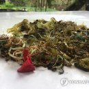 동부플라스틱