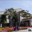 찜질나라식당 이미지