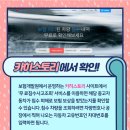 카모터스 이미지
