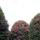 (주)피드백 이미지