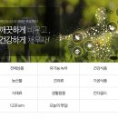 에잇코너스 이미지