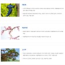 한솔동도서관 | 세종특별자치시 지명 유래와 역사: 창조와 균형의 중심, 미래를 여는 행정수도